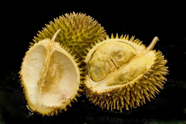 durian final